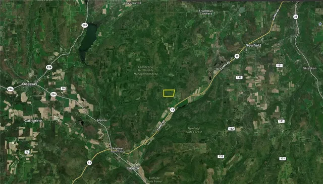 $339,900 | 920 Carter Creek Road, Newfield, NY 14867