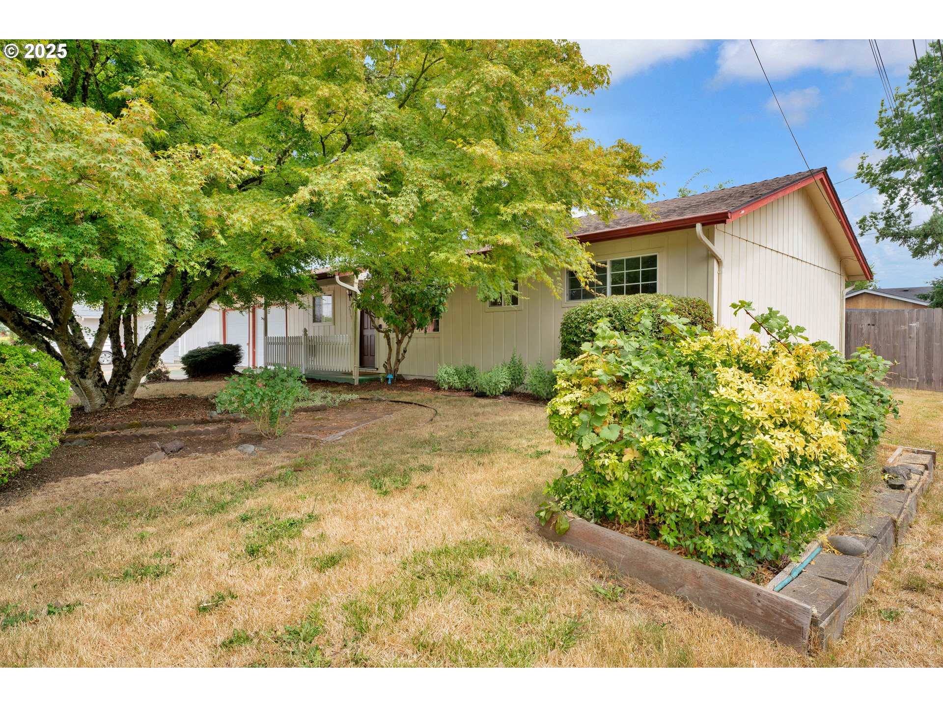 2919 Oak Street Southeast Albany, OR 97322 - Photo 3 of 36 a view of a yard with plants and large trees
