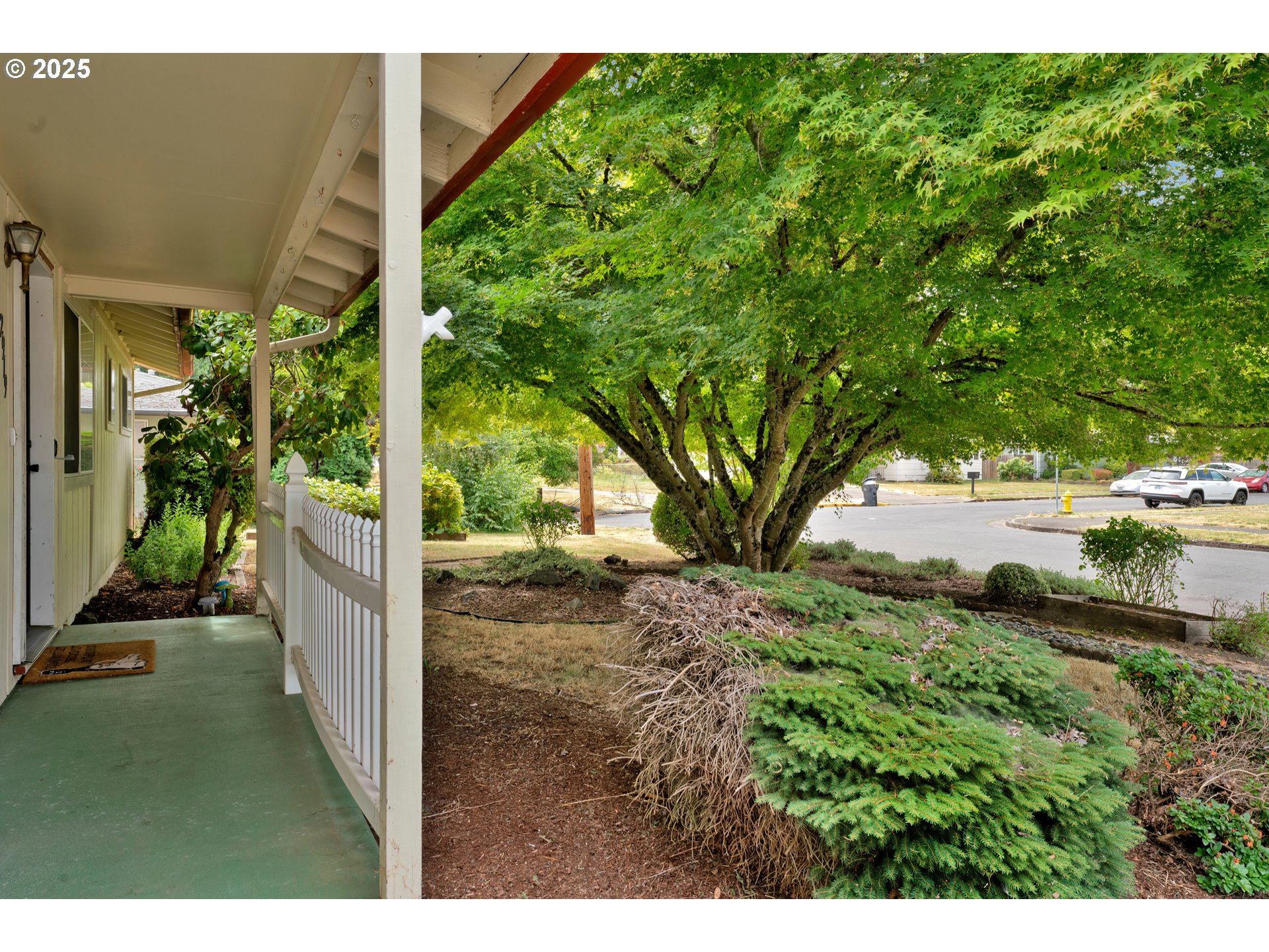2919 Oak Street Southeast Albany, OR 97322 - Photo 5 of 36 a view of a backyard