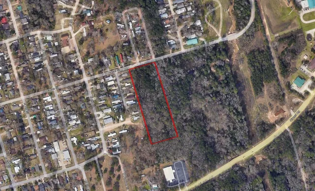 a close up of a tree