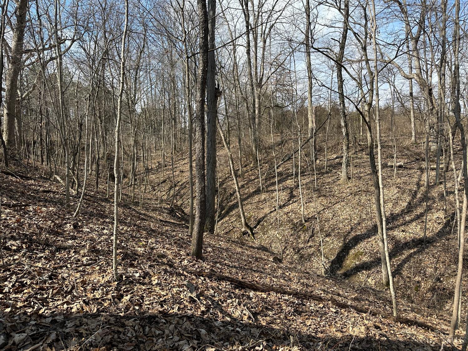 0 Wilson Road Winchester, OH 45697 - Photo 25 of 69