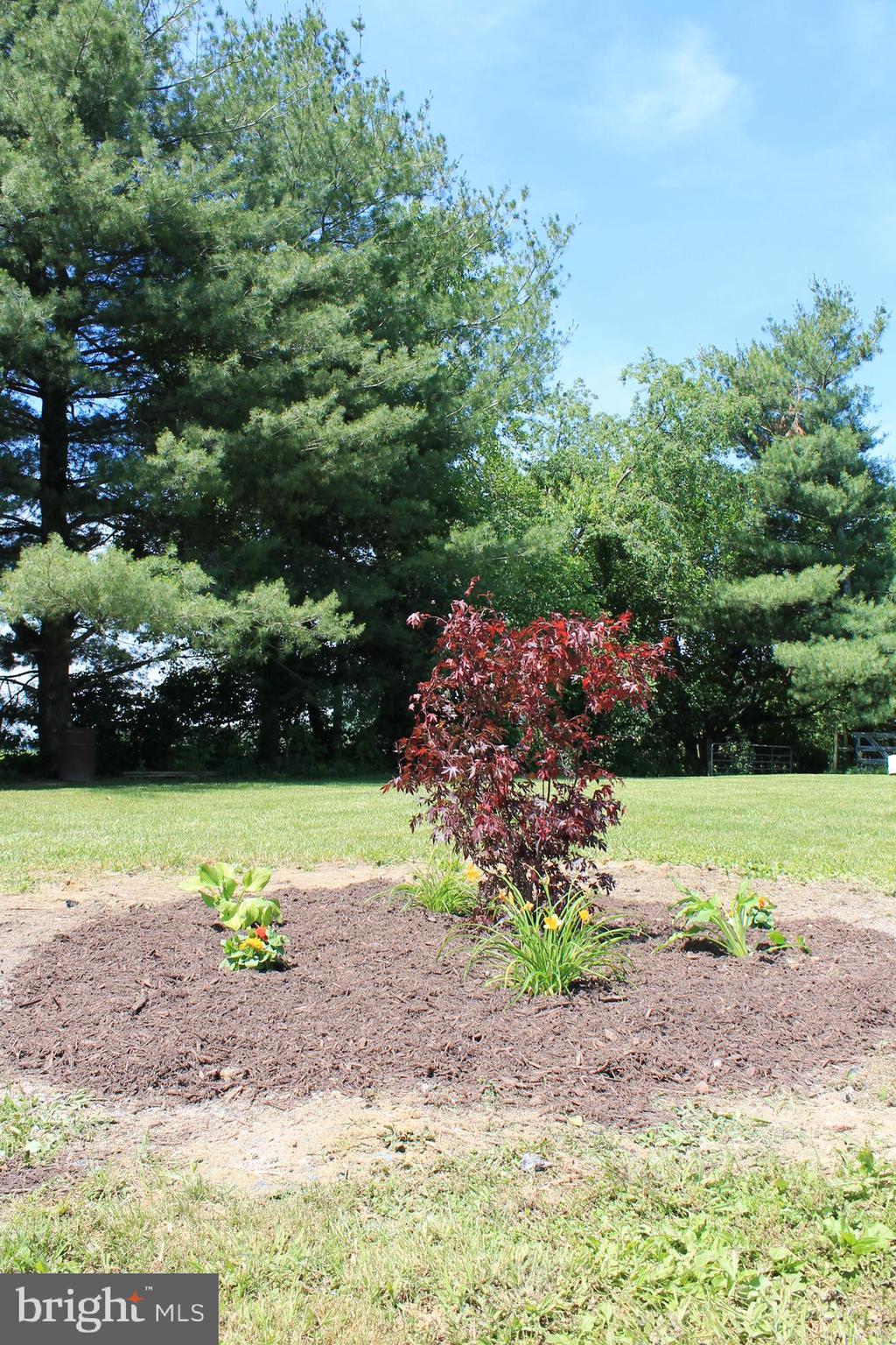 1615 Pleasant View Road Mount Jackson, VA 22842 - Photo 101 of 131