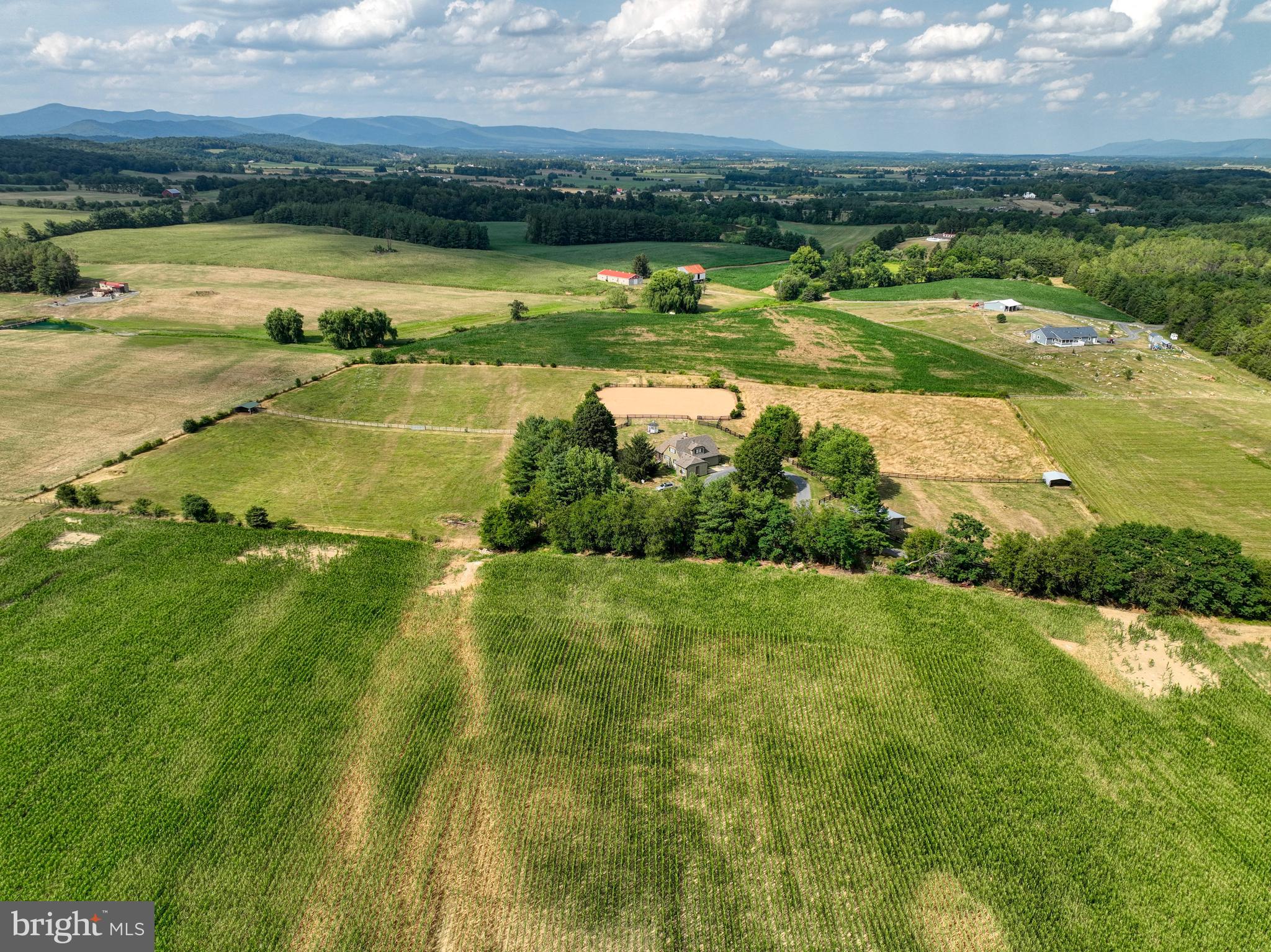 1615 Pleasant View Road Mount Jackson, VA 22842 - Photo 110 of 131