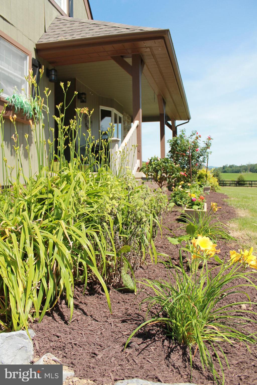 1615 Pleasant View Road Mount Jackson, VA 22842 - Photo 14 of 131