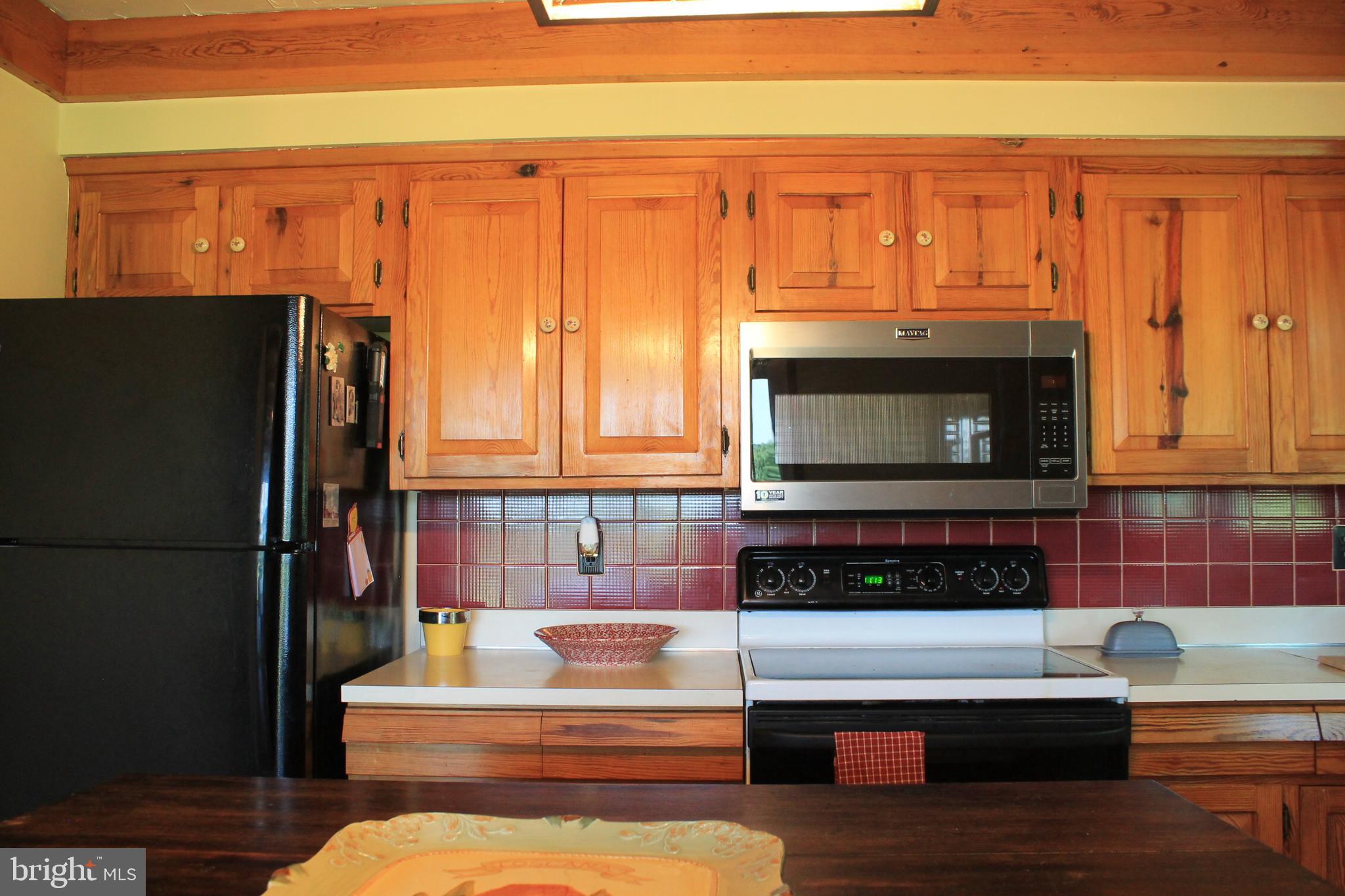 1615 Pleasant View Road Mount Jackson, VA 22842 - Photo 31 of 131 Kitchen