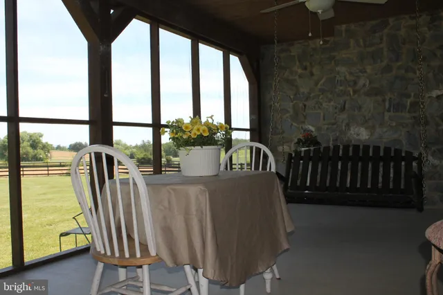 a view of a yard with plants and trees