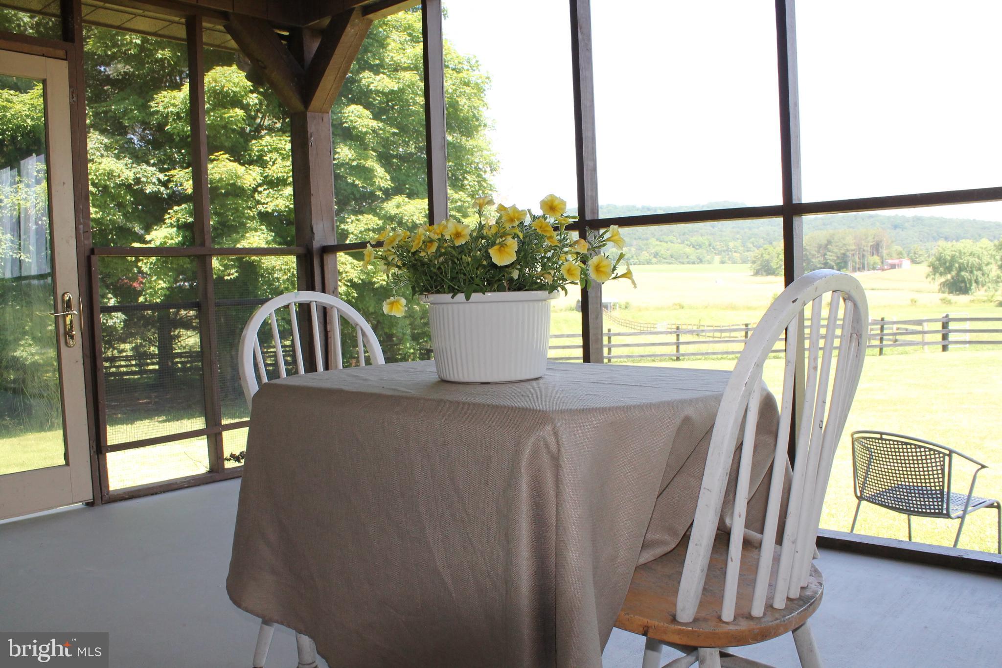 1615 Pleasant View Road Mount Jackson, VA 22842 - Photo 37 of 131 Screened Porch