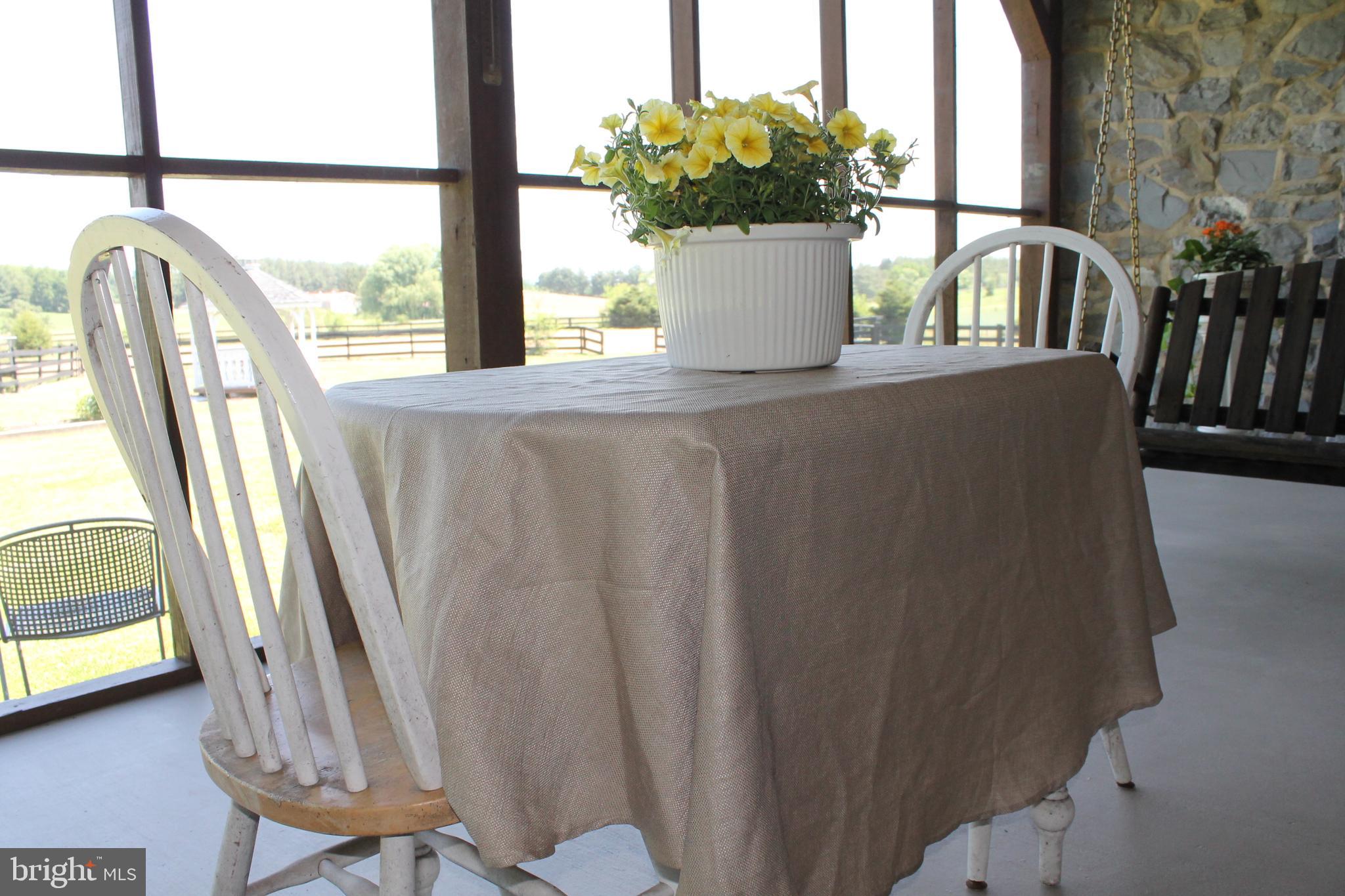 1615 Pleasant View Road Mount Jackson, VA 22842 - Photo 38 of 131 Screened Porch