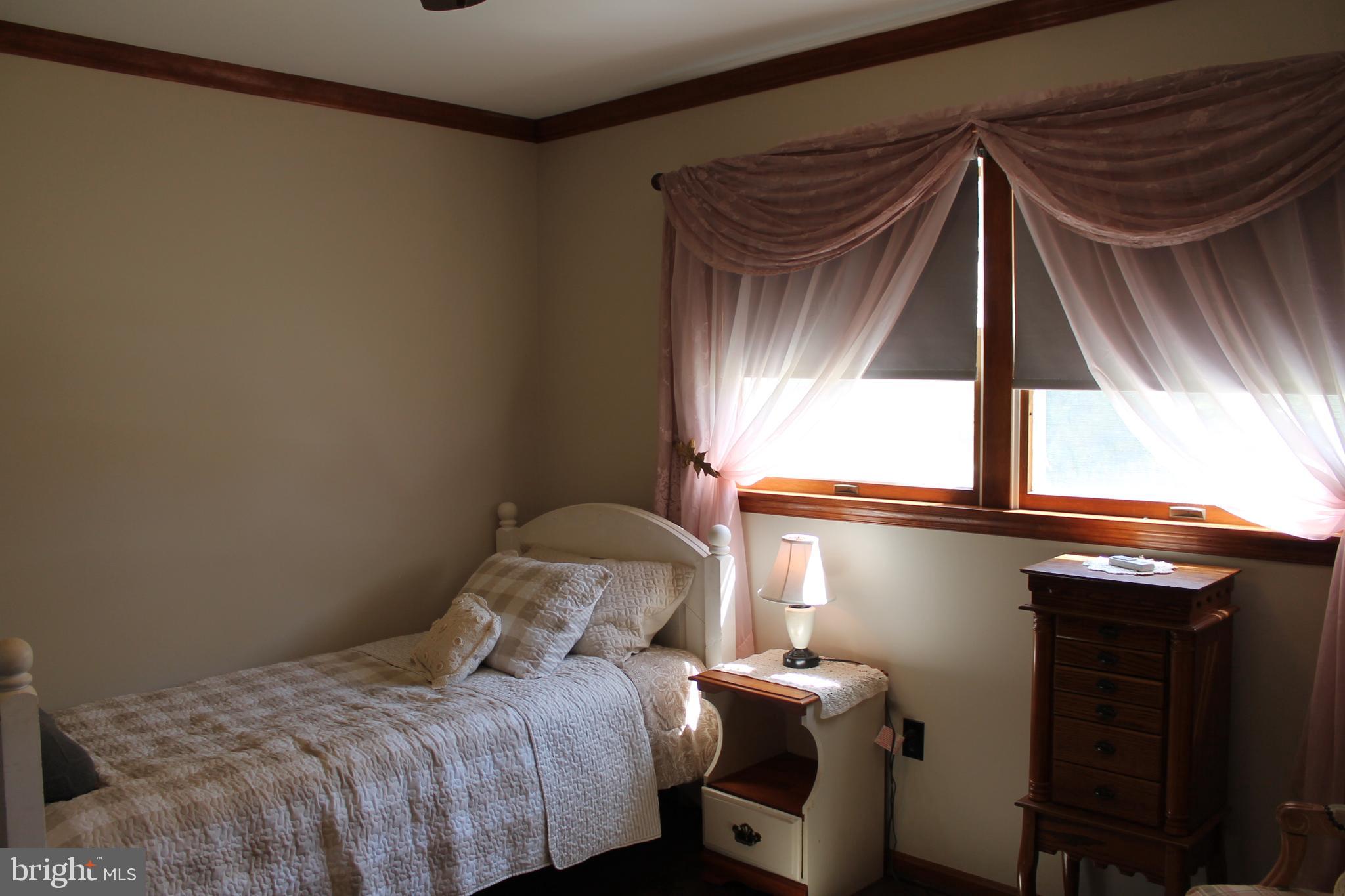 1615 Pleasant View Road Mount Jackson, VA 22842 - Photo 42 of 131 Bedroom Main Level