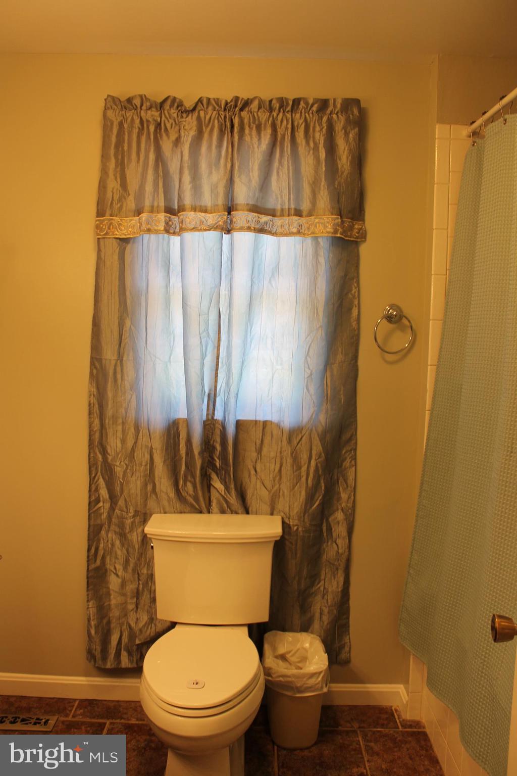 1615 Pleasant View Road Mount Jackson, VA 22842 - Photo 46 of 131 Bath Main Level