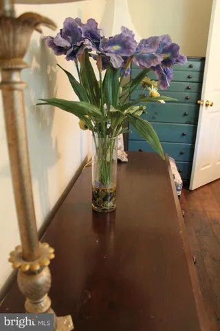 $700,000 | 1615 Pleasant View Road, Mount Jackson, VA 22842