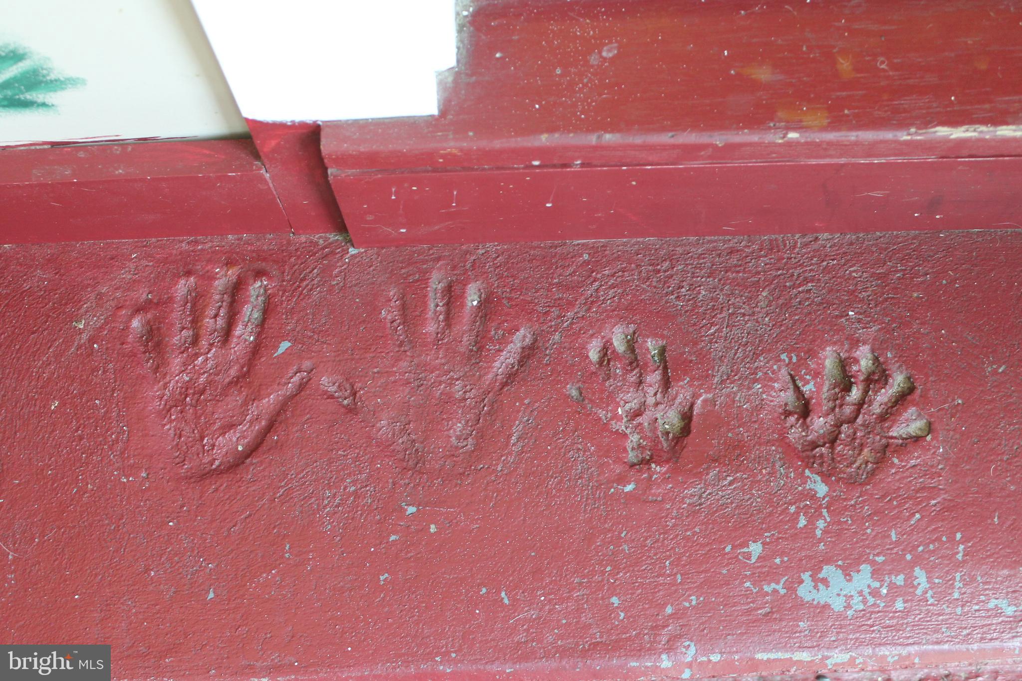 1615 Pleasant View Road Mount Jackson, VA 22842 - Photo 57 of 131