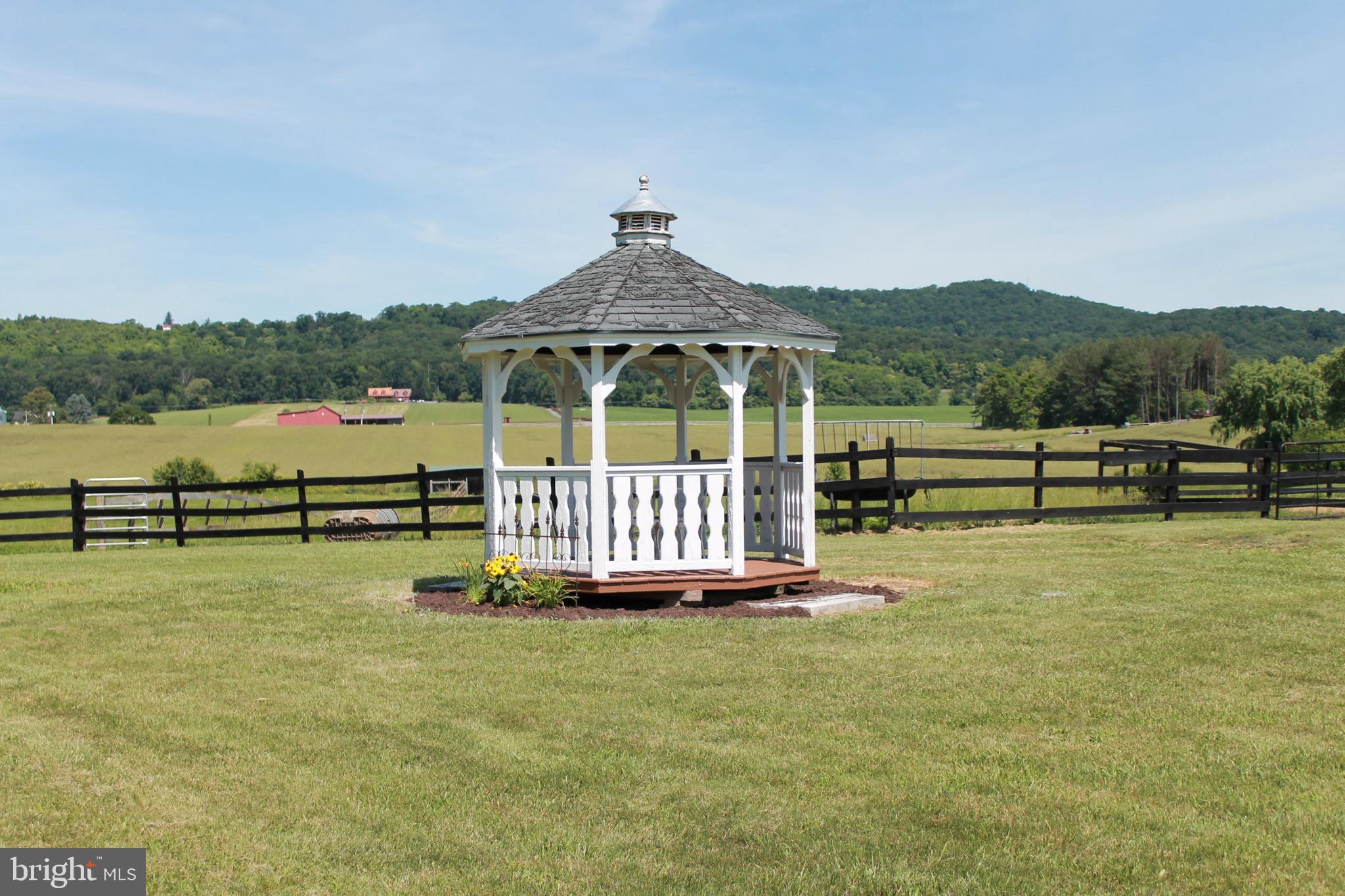 1615 Pleasant View Road Mount Jackson, VA 22842 - Photo 6 of 131 Gazebo