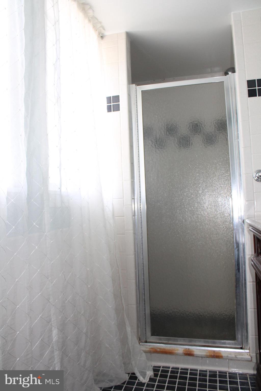 1615 Pleasant View Road Mount Jackson, VA 22842 - Photo 71 of 131 Bath Upstairs