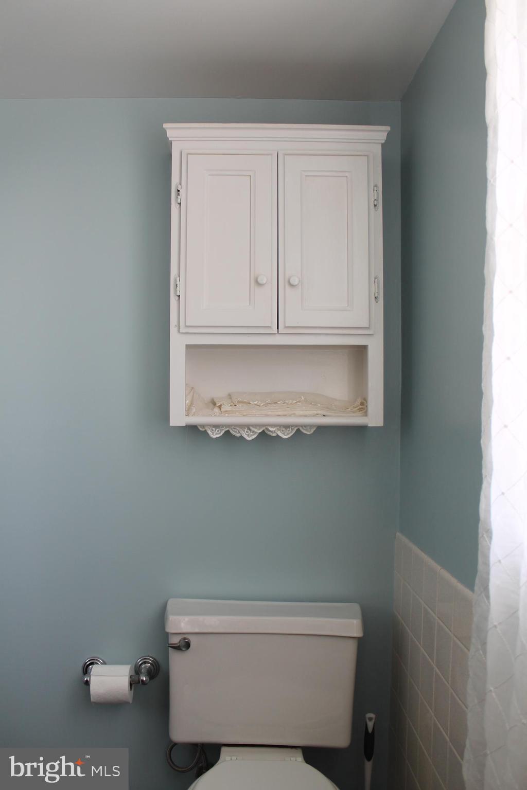 1615 Pleasant View Road Mount Jackson, VA 22842 - Photo 75 of 131 Bath Upstairs