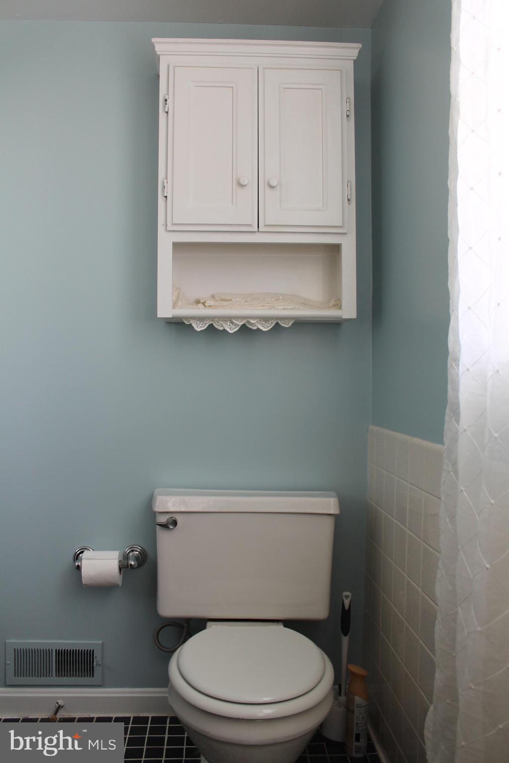 1615 Pleasant View Road Mount Jackson, VA 22842 - Photo 76 of 131 Bath Upstairs