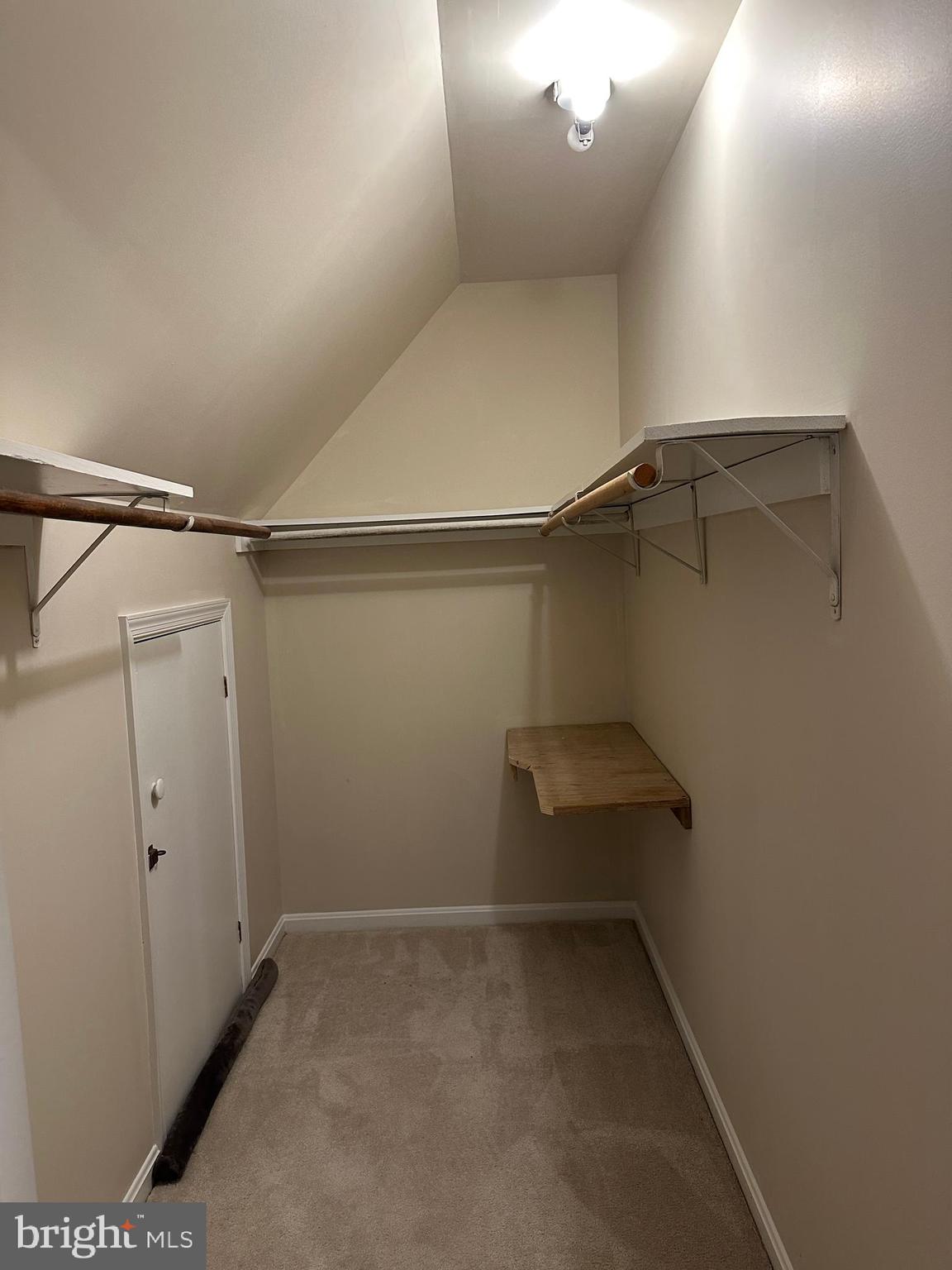 1615 Pleasant View Road Mount Jackson, VA 22842 - Photo 87 of 131 Walk In Closet