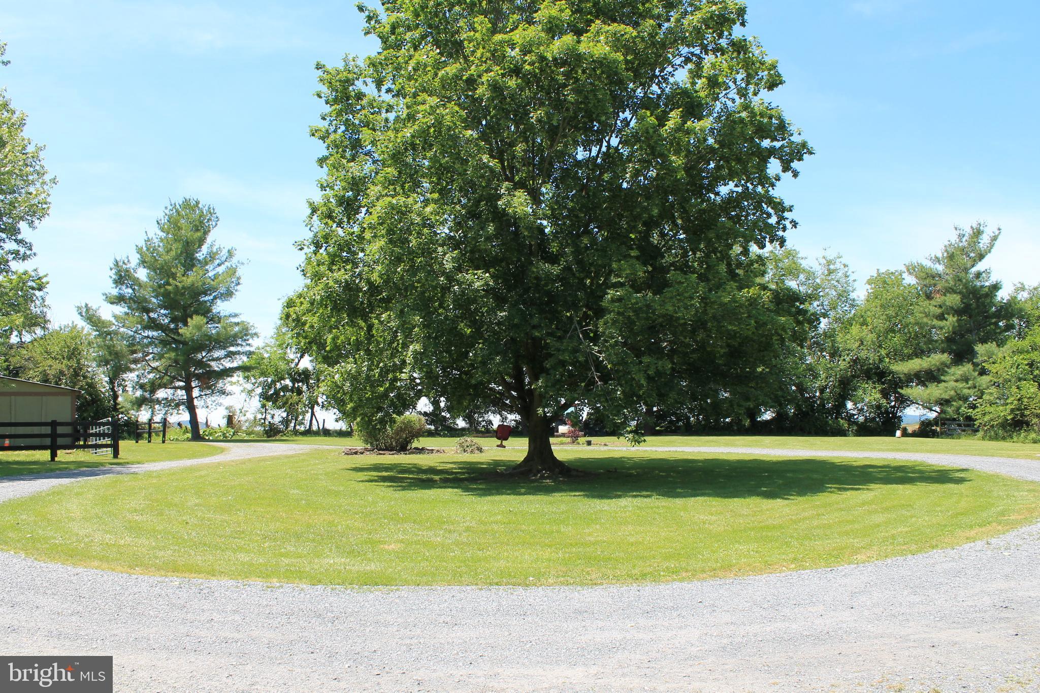 1615 Pleasant View Road Mount Jackson, VA 22842 - Photo 99 of 131