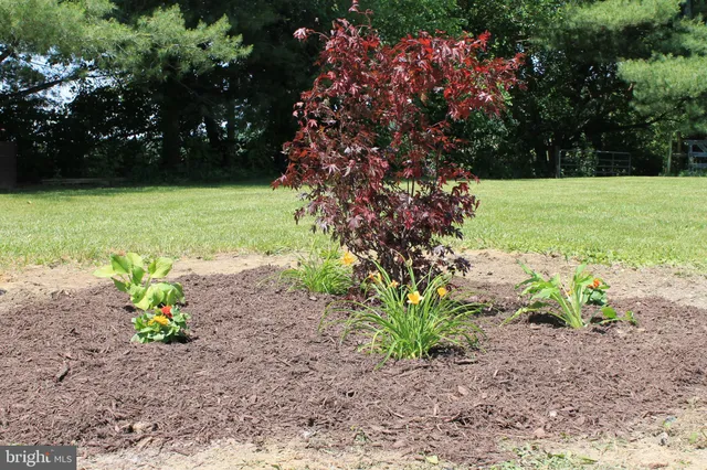 $700,000 | 1615 Pleasant View Road, Mount Jackson, VA 22842