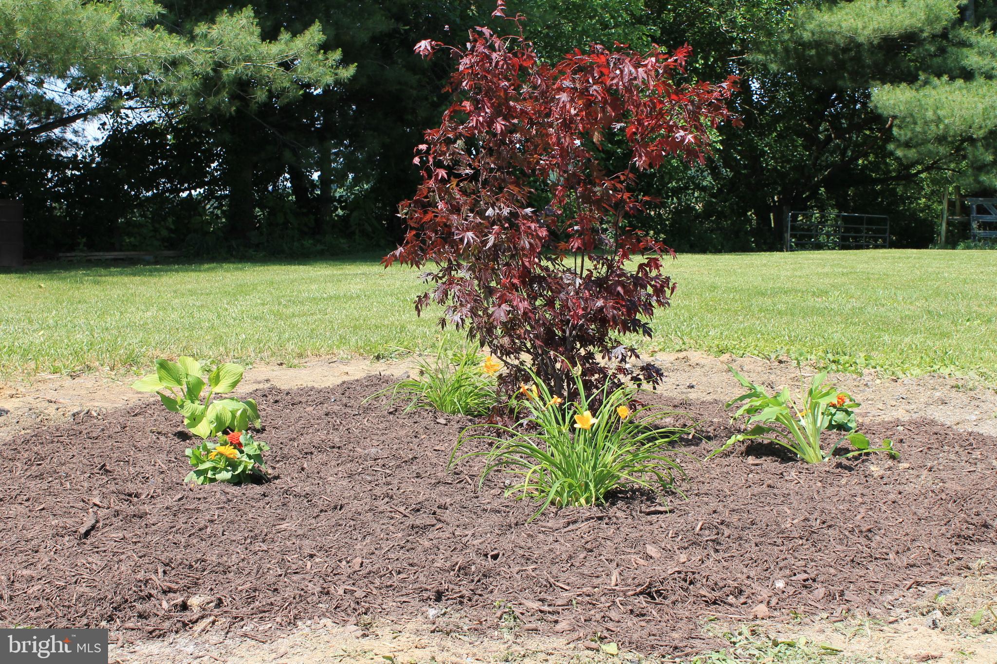 1615 Pleasant View Road Mount Jackson, VA 22842 - Photo 100 of 131