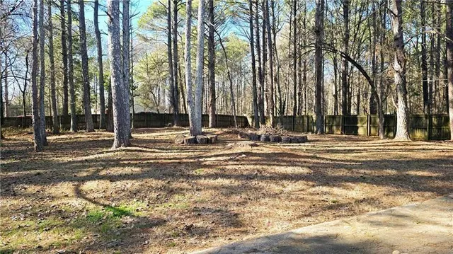 a view of street with tall trees