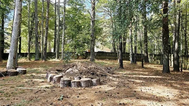a view of a backyard with large trees