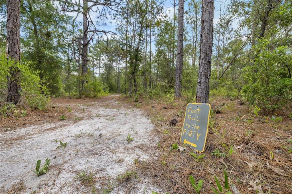 15624 Peace Boulevard Spring Hill, FL 34610 - Photo 40 of 59