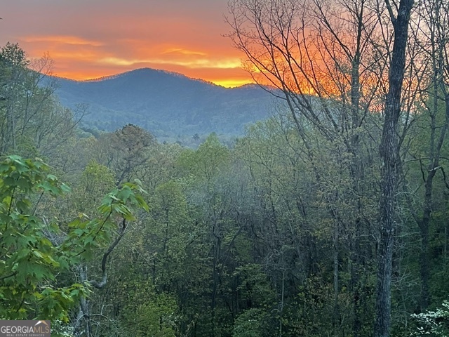 420 Hidden Acres Lane Clayton, GA 30525 - Photo 44 of 46 a view of a mountain range with trees in the background