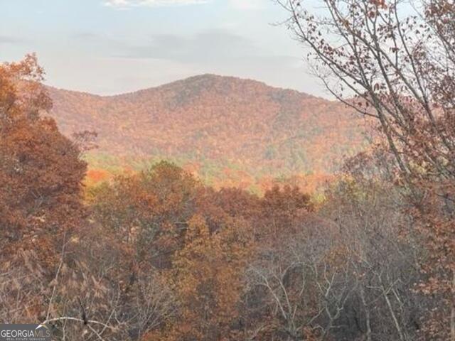 420 Hidden Acres Lane Clayton, GA 30525 - Photo 45 of 46 a view of a dry yard with mountains in the background