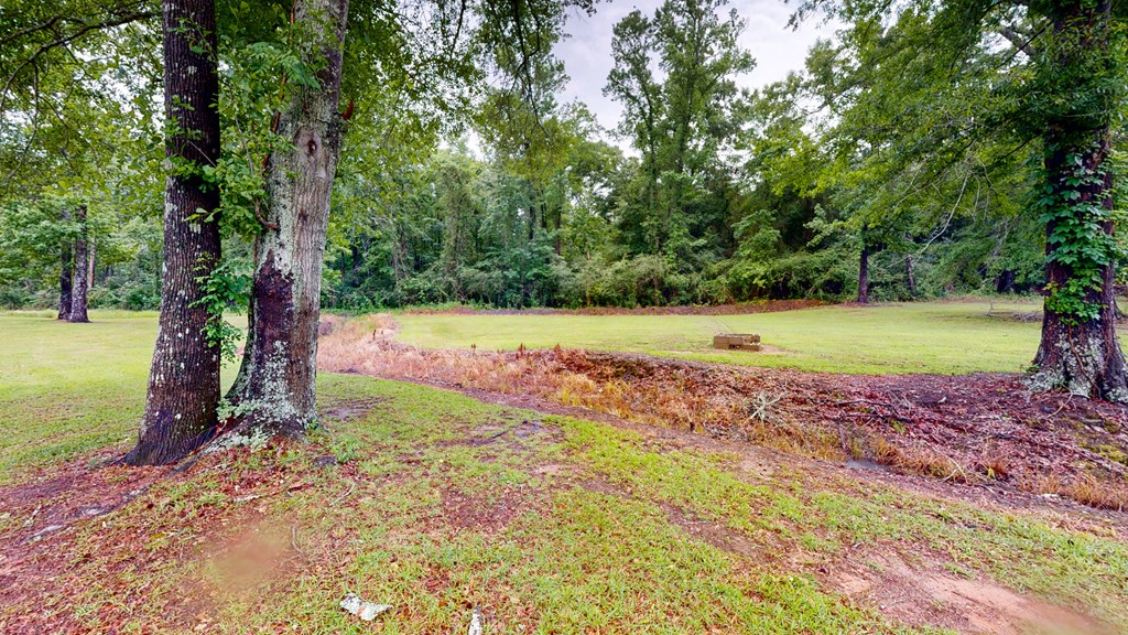 335 A J Register Road Dothan, AL 36301 - Photo 37 of 40