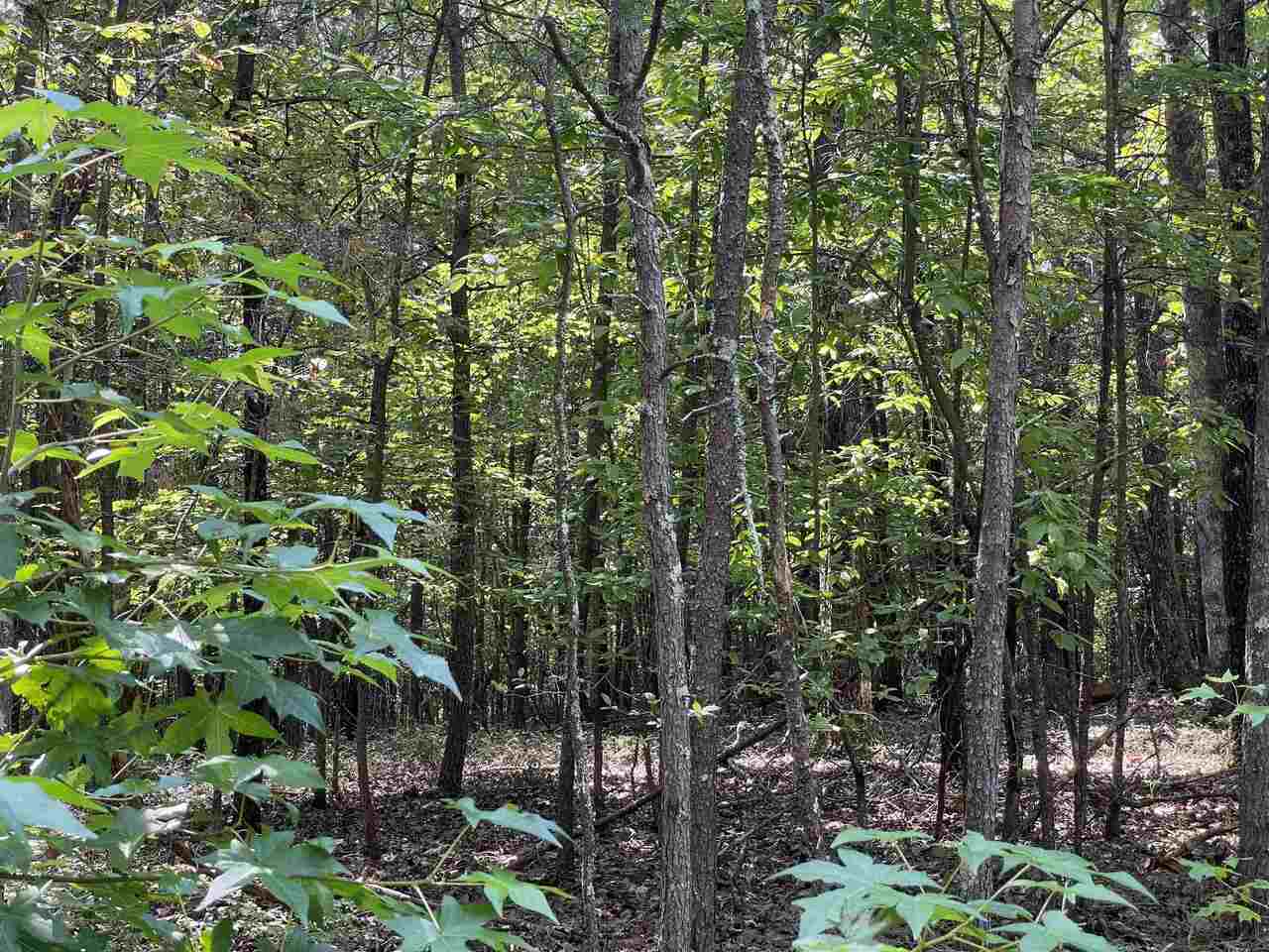 0 Tesnatee Gap Valley Road, Unit 1 Cleveland, GA 30528 - Photo 1 of 1 Gallery Image 1