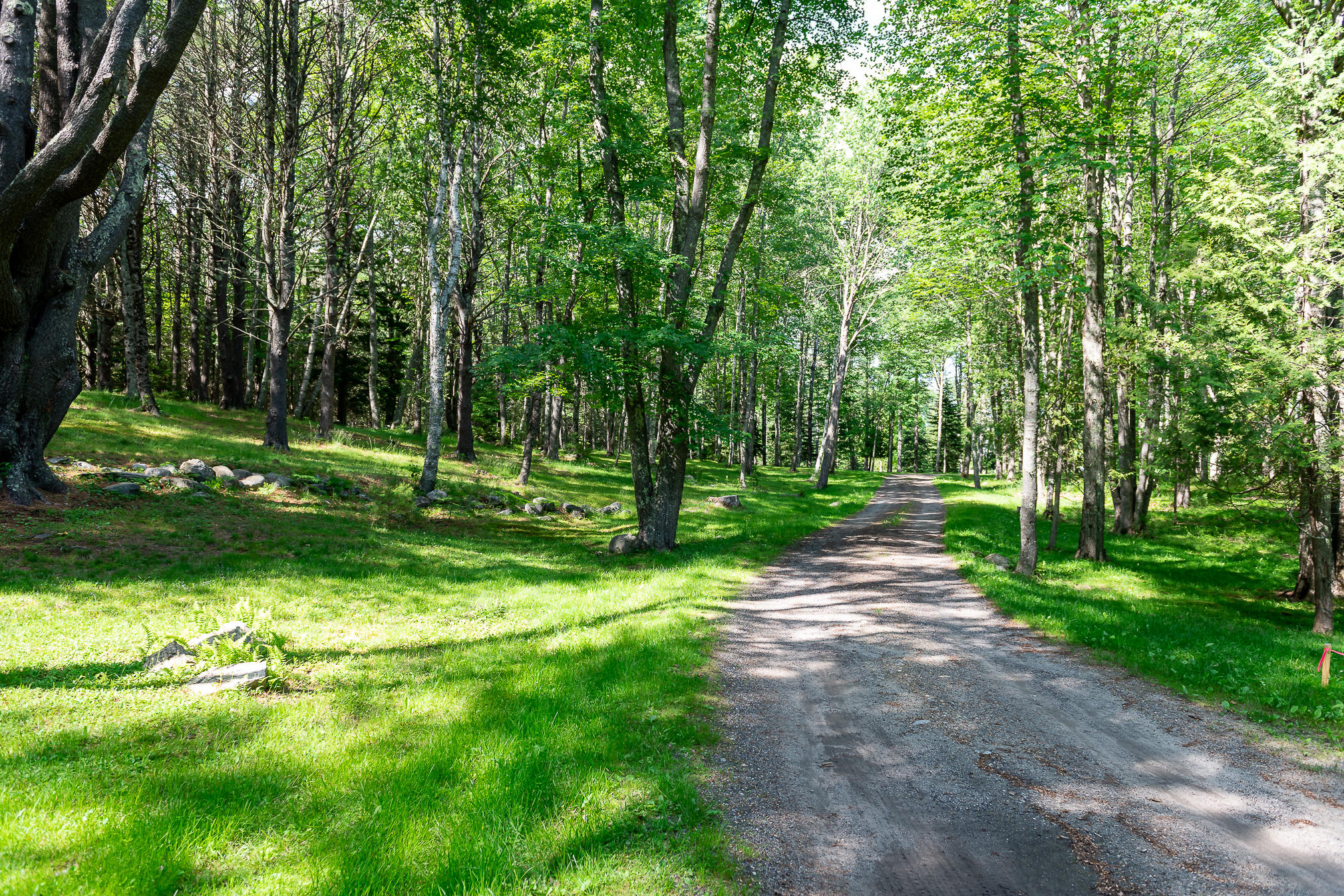 331 Fiddlers Reach Road Phippsburg, ME 04562 - Photo 4 of 48 DSC_0288