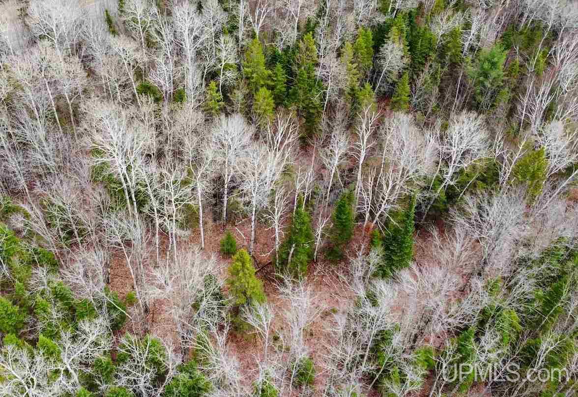 Tbd Dogpatch Road, Unit LOT I Lanse, MI 49946 - Photo 24 of 25