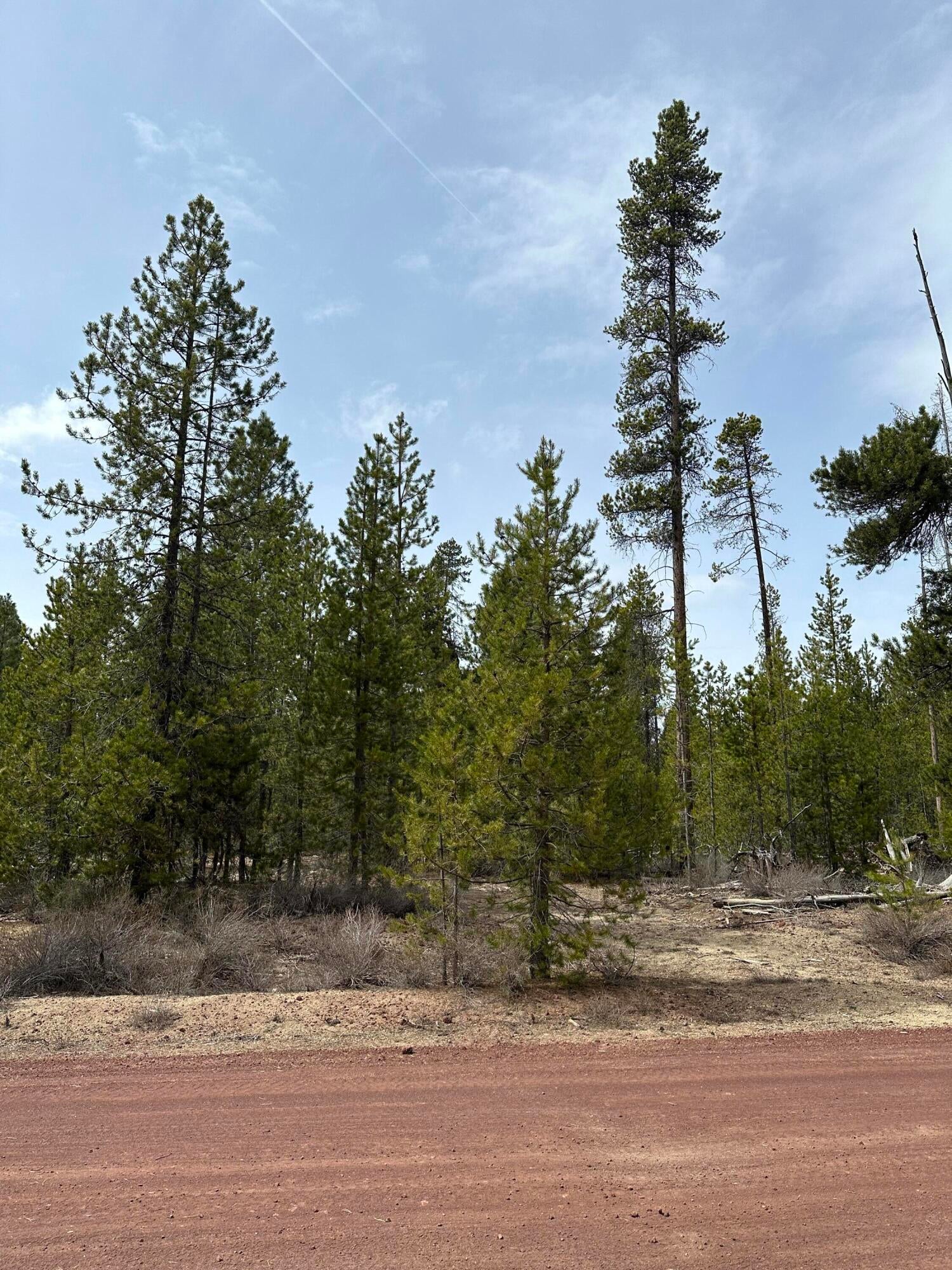 Kam Loop, Unit 30 Gilchrist, OR 97737 - Photo 5 of 5 IMG_4781