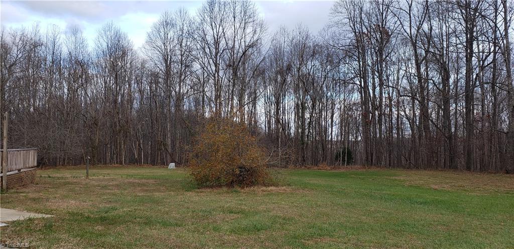 332 Albion Church Road Mount Airy, NC 27030 - Photo 30 of 42 Gallery Image 30