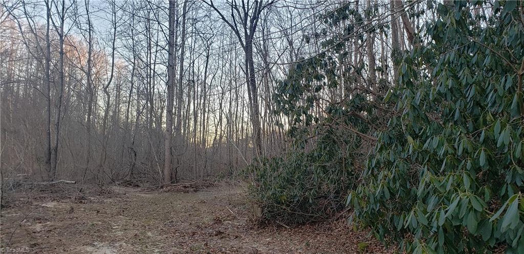 332 Albion Church Road Mount Airy, NC 27030 - Photo 33 of 42 Gallery Image 33