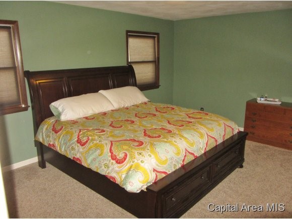 413 Merrymen Road Springfield, IL 62704 - Photo 7 of 12
