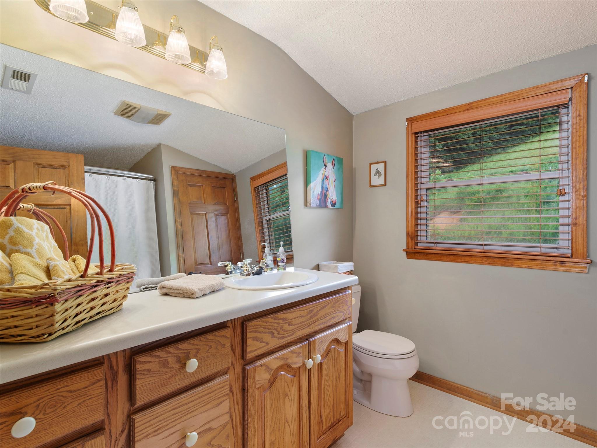 317 Camp Branch Road Clyde, NC 28721 - Photo 8 of 47 Gallery Image 8