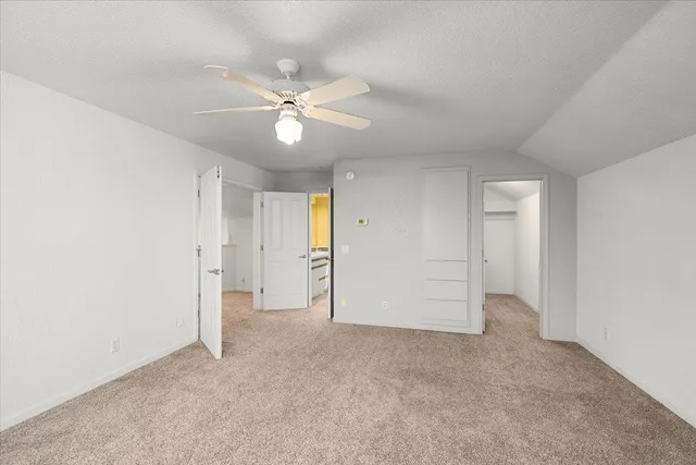 a view of backyard with tree