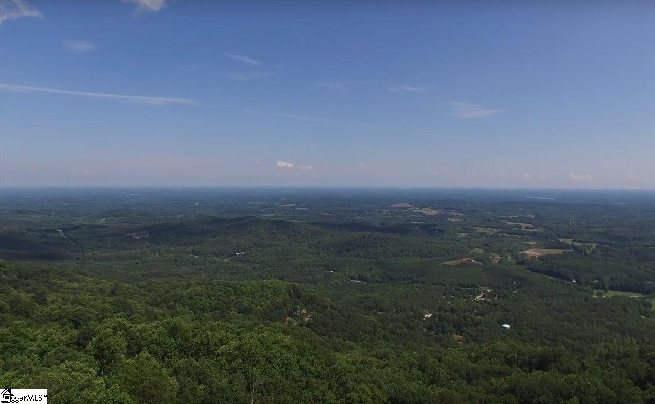 401 Stony Road Landrum, SC 29356 - Photo 2 of 8