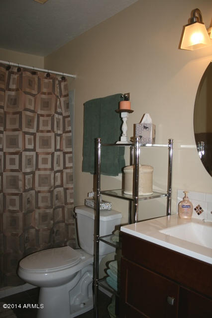 6329 Quail Cove Road Pine, AZ 85544 - Photo 14 of 26 Hall Bathroom