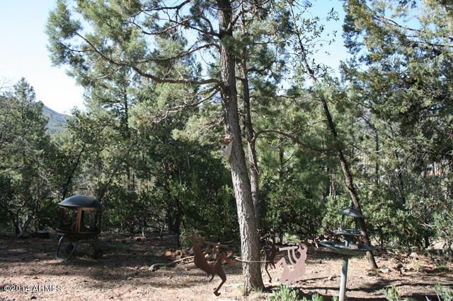 6329 Quail Cove Road Pine, AZ 85544 - Photo 19 of 26 Front yard