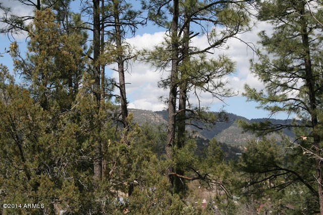 6329 Quail Cove Road Pine, AZ 85544 - Photo 21 of 26 Forest & Mountain Views