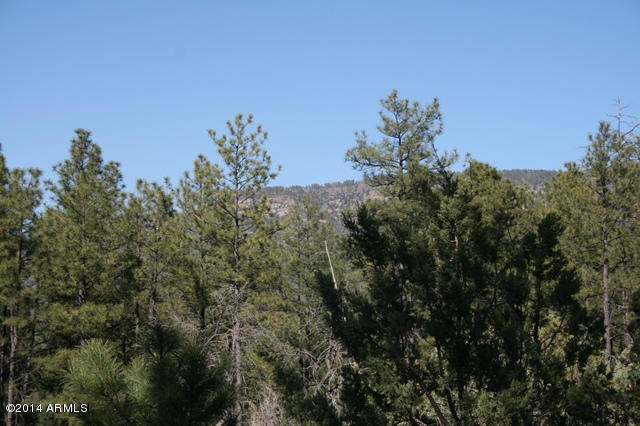 6329 Quail Cove Road Pine, AZ 85544 - Photo 22 of 26 Views