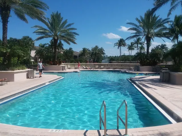 a view of a swimming pool with a patio and plants