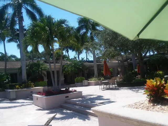 a view of a backyard with palm tree