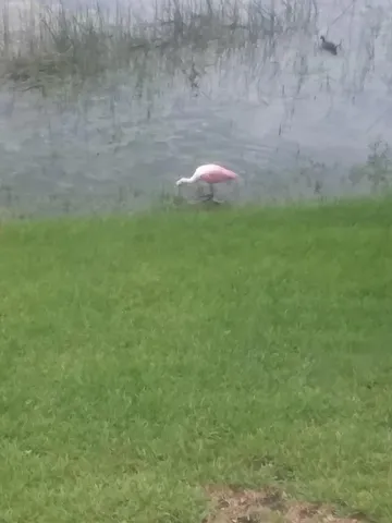 an empty room with a empty space