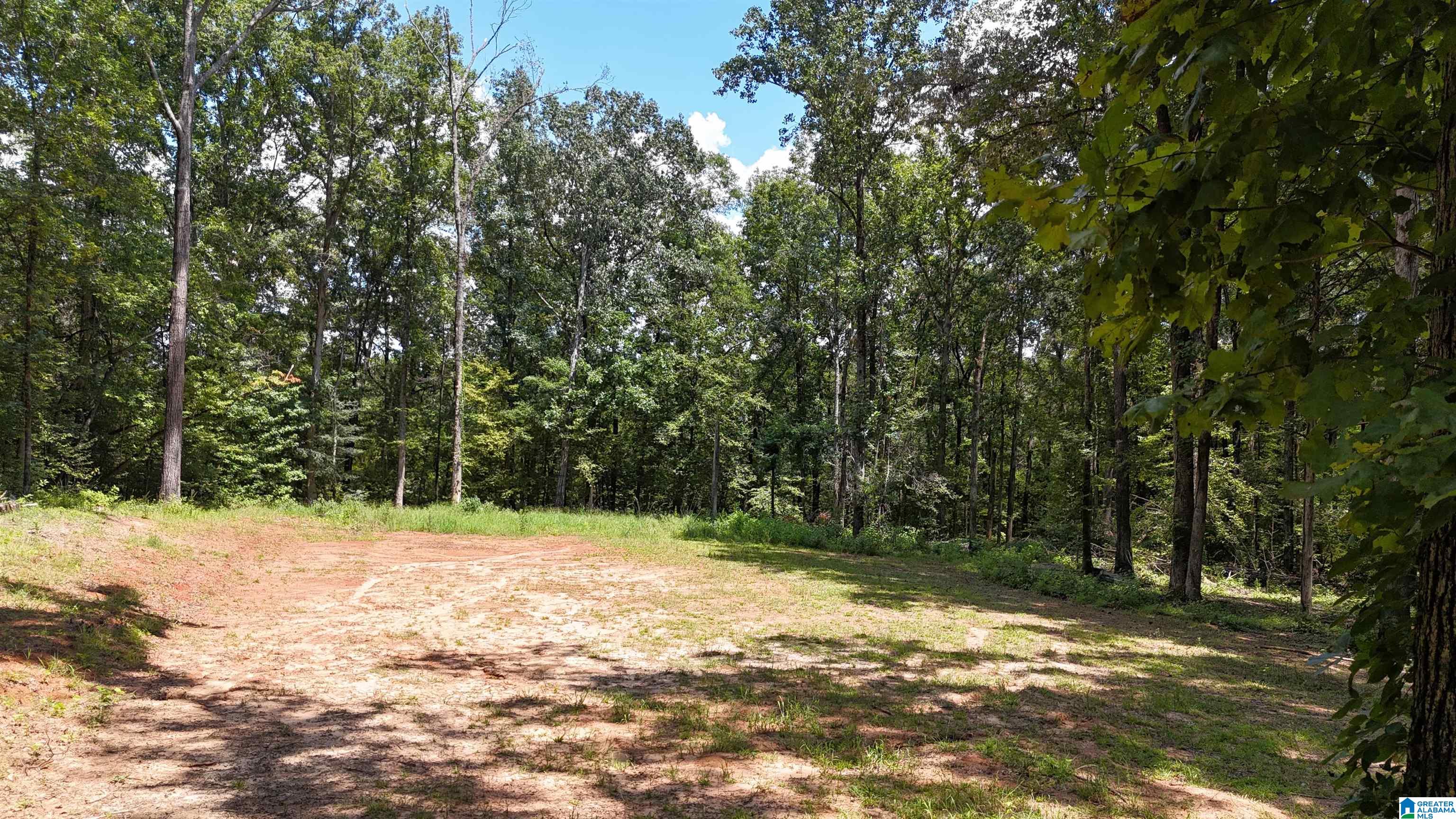 2170 Birmingham Road Centreville, AL 35042 - Photo 2 of 32