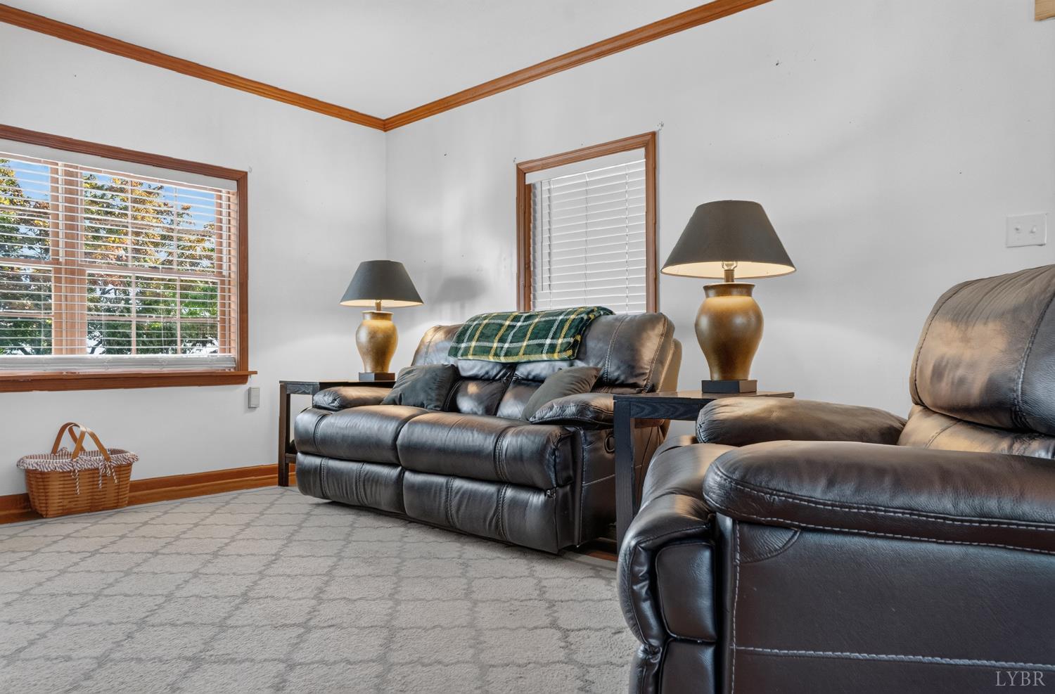8450 Forest Road Goode, VA 24556 - Photo 31 of 89 Gallery Image 31