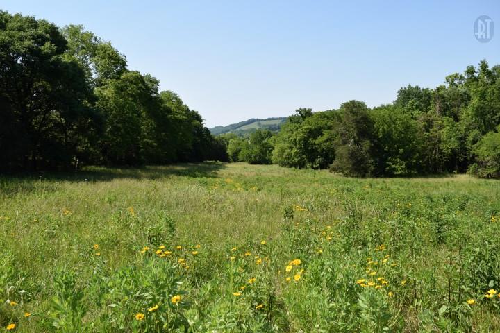 109 Bugtussle Road Fayetteville, TN 37334 - Photo 8 of 28 Gallery Image 8